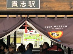 ܁[܂̋Muwi܃~[WA jւ̓eʐ^1