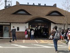 ܁[܂̋Muwi܃~[WA jւ̓eʐ^1