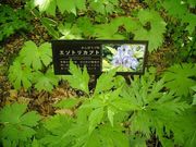 u-min̑эLs쑐̓eʐ^1