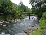 䂤񂳂̓P쉷̓eʐ^2