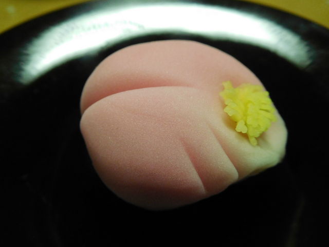 񂩂ǂ㐶َq_َq܁@{