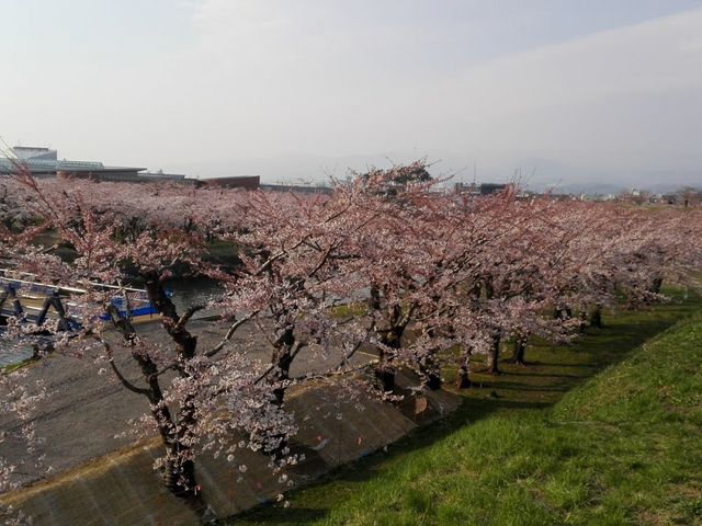 �H���ׂ̈̉����A������ł��傤���H�i�ʐ^�����j_�ܗŊs����