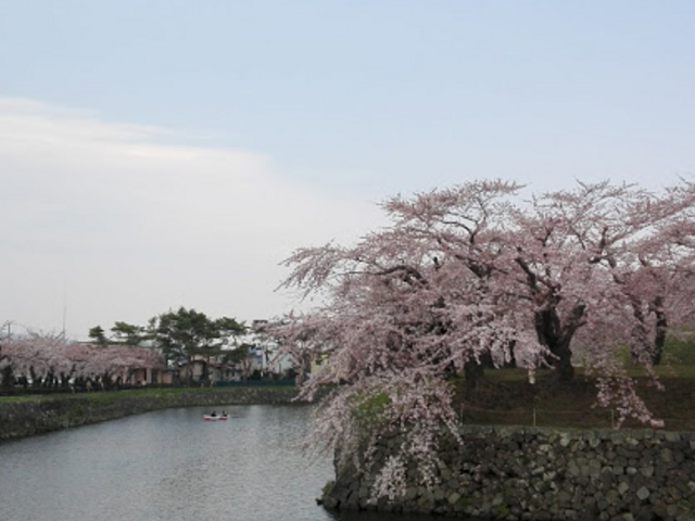 ���x�ƍ��A�G�ɂȂ�܂���_�ܗŊs����