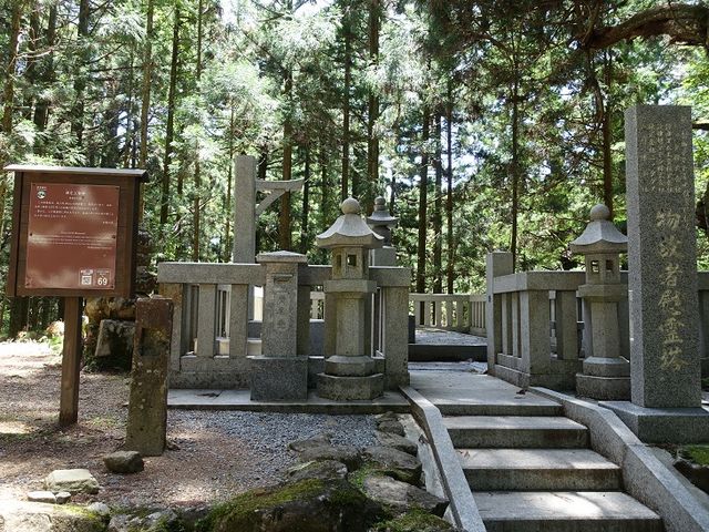 �C�I������̏�q�T��̕�̓��e�ʐ^1