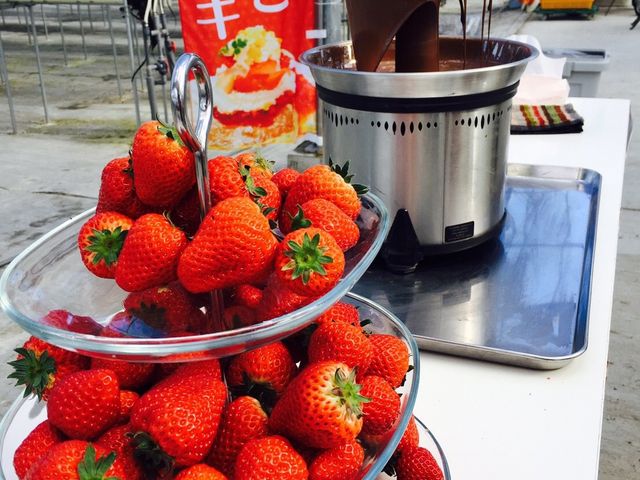 �`���R���[�g�^���[�ŁA�����H�׉߂��܂��c_MIGAKI FARM(��ICHIGO WORLD)