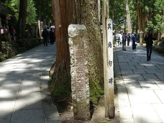 �C�I������̑��p���̓��e�ʐ^1