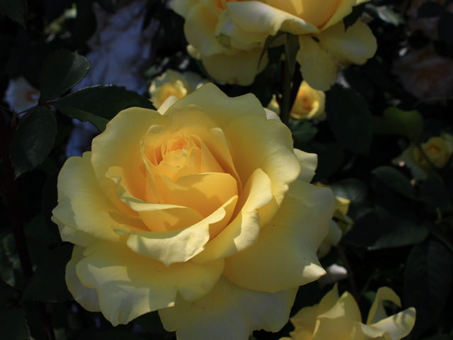 �K�N_�P�H�΂牀