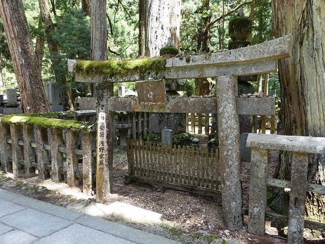 �C�I������̓�Ԕ�̓��e�ʐ^1