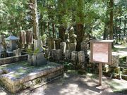 �C�I������̍���Q�w�����Γ��̓��e�ʐ^1