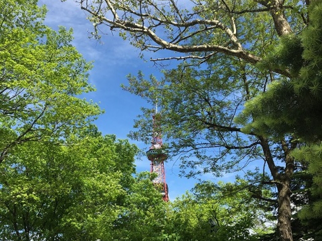 5��_�����ۂ�e���r��