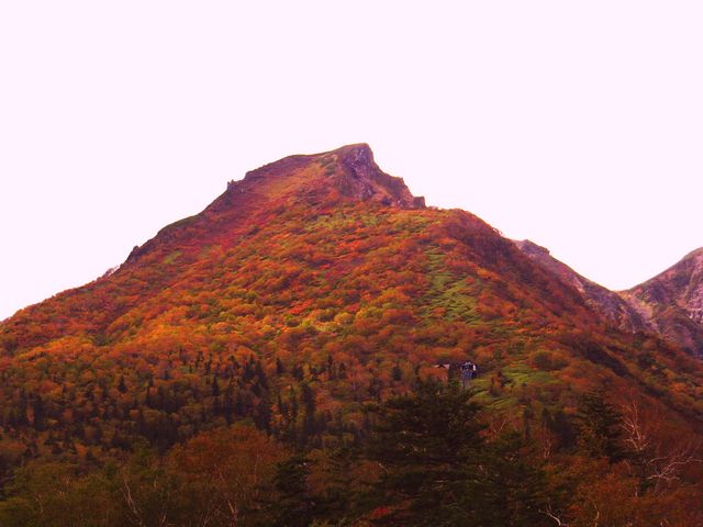 �����ɍg�t���Ă��܂���_���R�w�_���E���x���[�v�E�F�C