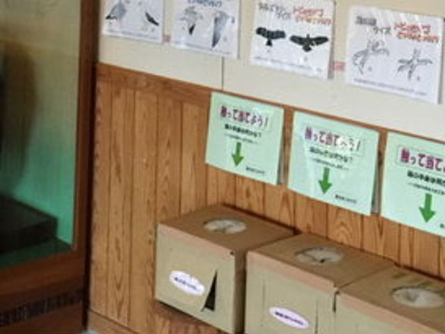 �c�씨�������ό��ē���_�c�씨�������ό��ē���