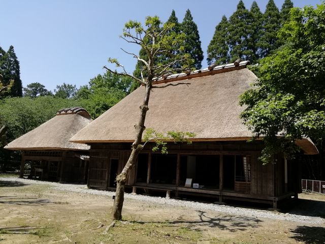 ���Ɖ�_���Ɖ�