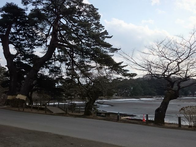 �~�̓��_���