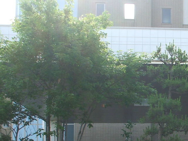 n[gsAxR邬(邬)_Nn[gsAxR邬