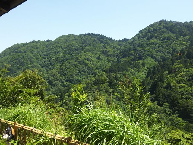 �I�V���C�����O�̌i�F�B_�z�e�����̖{