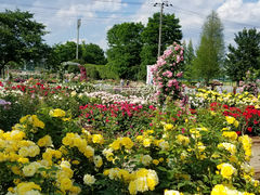 hJẍɓޒ{sLOւ̓eʐ^1