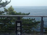 񂲂邳̌ΊCݗV̓eʐ^1