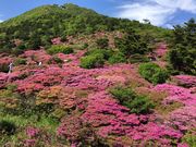 poporoñ~}LV}̓eʐ^1