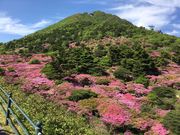 poporoñ~}LV}̓eʐ^3