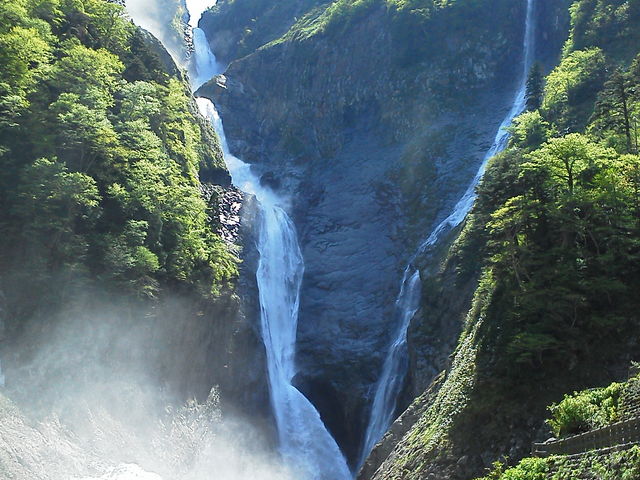 ���p�̃K���P�[�Ŏʂ����ʐ^�ł�_�̖���