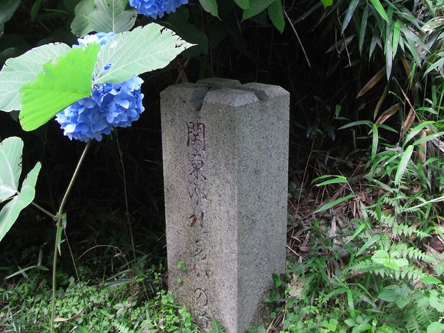 ݁B̎sRi֓ӂꂠ̓j̓eʐ^2