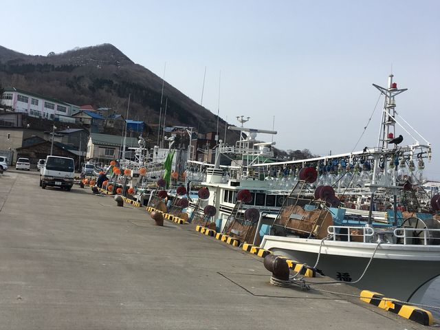 �G�߂��n�܂�_�����ނ苙