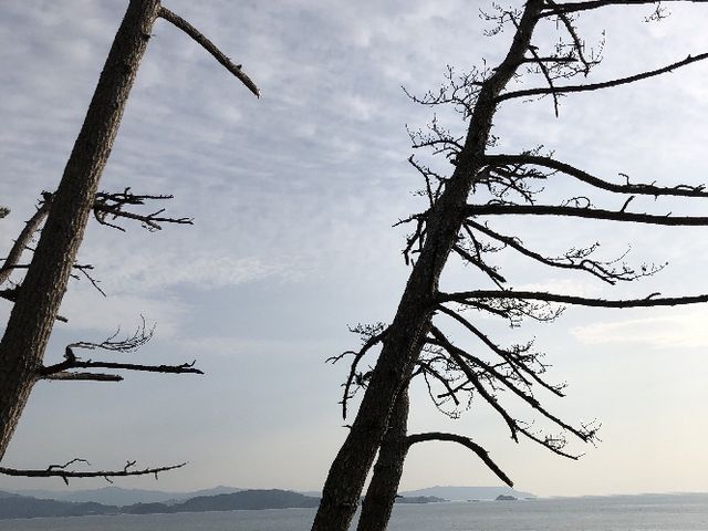 �͂ꂽ�����r������U��_���������V����