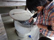 �g������̓��Ǝ��i�c�m����t�j�̓��e�ʐ^4