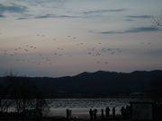 u-min̋{EnZ^[̓eʐ^1