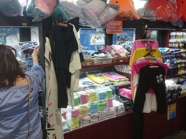 𔃂_ANA[h 錧 X[xjAVbv