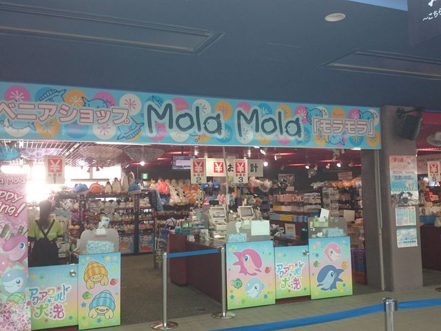 9JXÕ_ANA[h 錧 X[xjAVbv