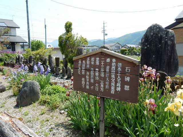 w-masåω̐ΕQ̓eʐ^1