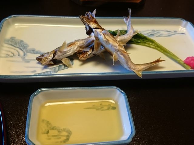 ꂨ񂳂̂蒃 ̏̓eʐ^3