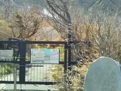 usȃOJ̐Δւ̓eʐ^1