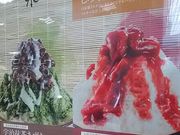 scott ejcC^[p[NX̓eʐ^1