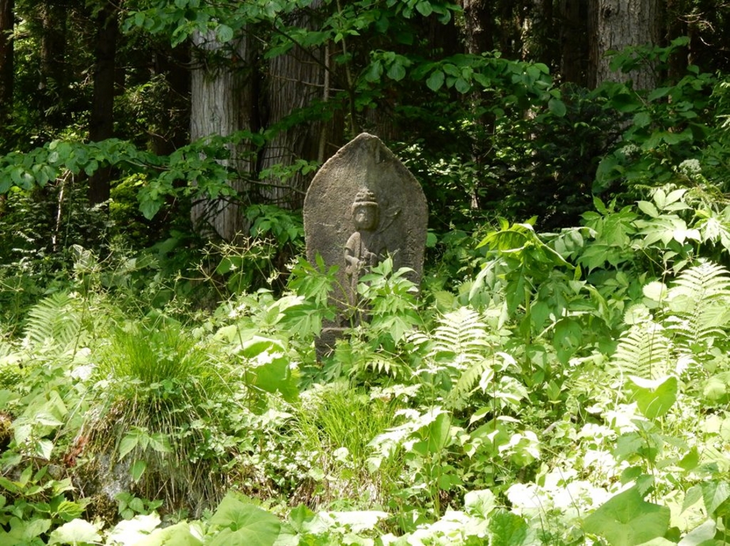 ★ぬ 目で見る安曇の100年 / 大町市 北安曇郡 南安曇郡 / 郷土出版社 安曇野・大町のその他名所ランキングTOP10 - じゃらんnet