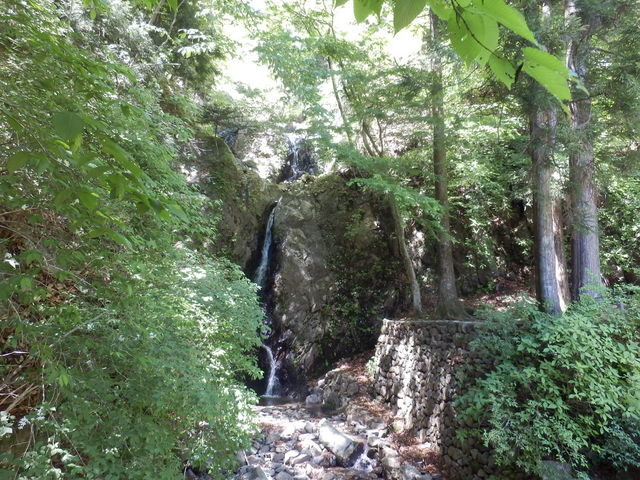 ��_��d��