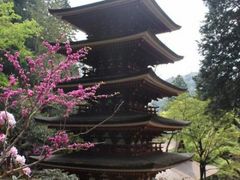 小さな水彩画原画 「奈良県 春の室生寺 五重塔」 日本売筋品