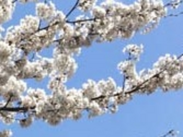 ANZ[JC̕g̒h̍̓eʐ^1