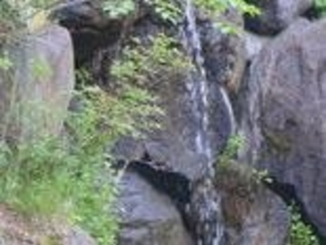 �B�Ŗ�������_�B�Ŗ�������