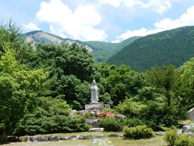 w-masa����̋A�_��Ղ̓��e�ʐ^4