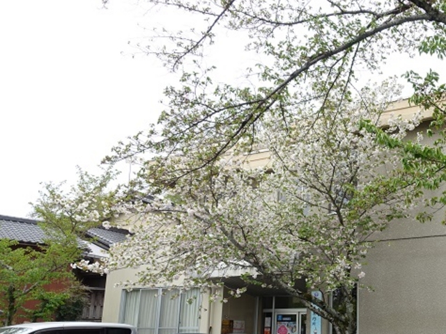 ���ԏ�̋߂��ɂ���܂�_�ΎR���ό��ē���