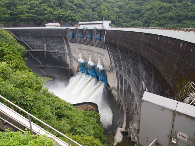 ����_�V�P���_��