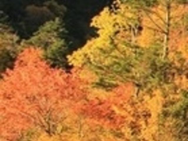 �A�N�Z���[���J�C����̓�A���v�X�ѓ��̍g�t�̓��e�ʐ^1