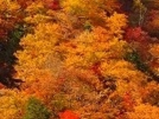 ANZ[JC̋ˎR̍gt̓eʐ^1