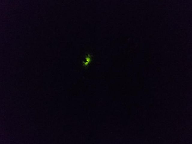 �ڂ̑O�܂Ńz�^�������ł��܂�_���M��