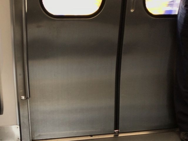 �R������_�i�q�ڍ��w