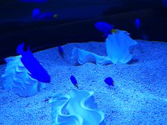 啪}[pXفu݂܂v̎ʐ^1