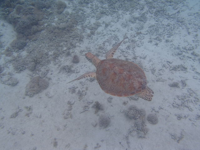 �o������E�~�K���N�ł��B_BIGHOLIDAY-TRIP